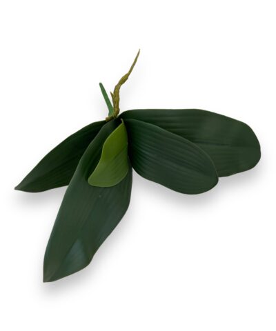 Листя орхідеї, гума, 30 см