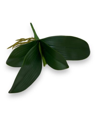 Листя орхідеї, гума, 30 см