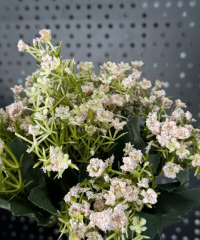 Букет гіпсофіли CV22114