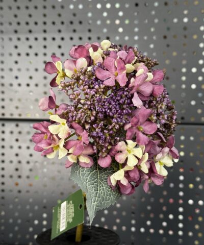 Гортензія галузка CV23581