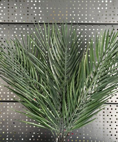 Пальма букет CV32623