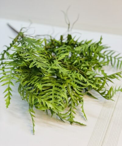 Букет папороть CV38954